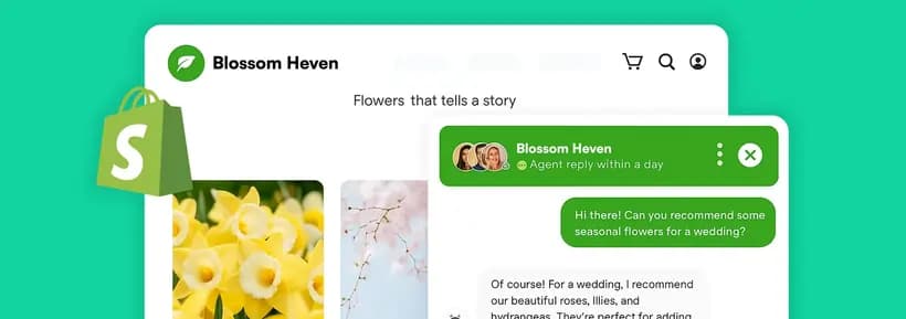 Shopify AI Agent